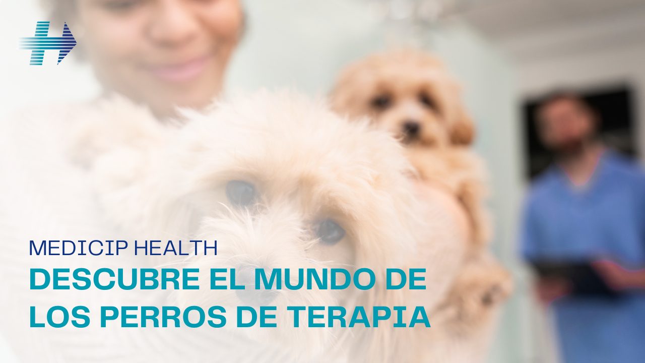 Perros de terapia